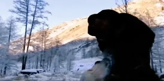 Bear Grylls 😰 in snow #beargrylls #manvswild #beargryllsadventure #snow #frostbite #beargryllsviralvideos #pleaseviralmyaccount🙏🏻🙏🏻🙏🏻🙏🏻 #manvswild #beargrylls_and_akshaykumar😃😃😃 #beargrylls #descovery #animal #animalplanet #beargryllsinsnow #beargryllsita 