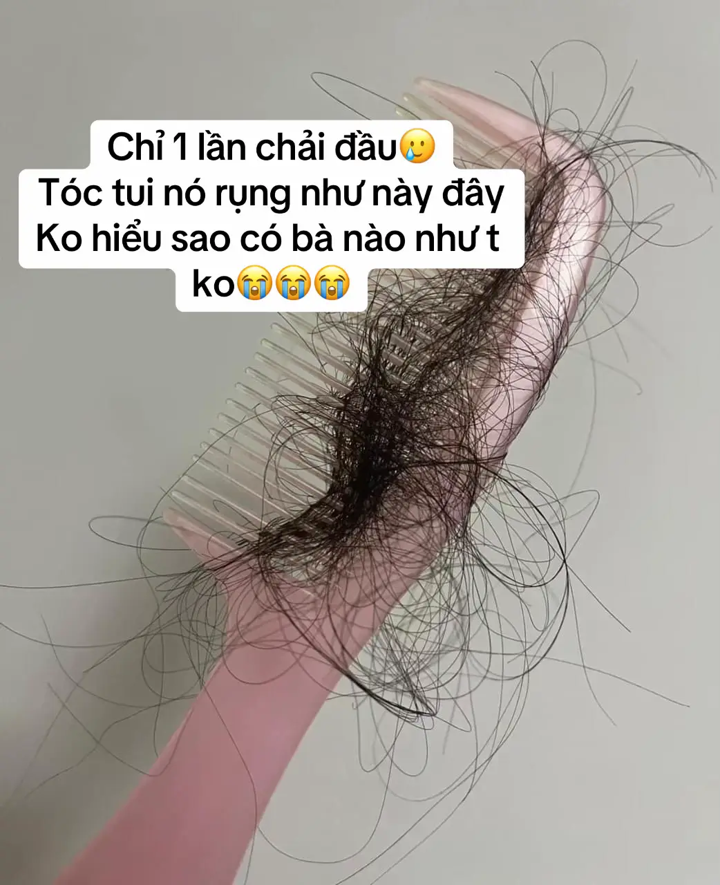 Bà nào tóc rụng như lá rụng thì sài thử em cặp dầu gội c Hà Linh review này nha, ổn áp lắm nè #goclamdep #reviewlamdep #daugoi #daugoithaoduoc #halinhreview #bethichreview211 