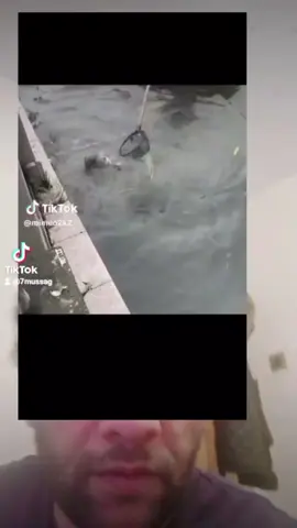 ye kia ho gya #sportsdirect  #elphant💖🐘 #viral 