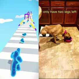 #tiktok #foryou #fypツ #pets #cute #dogs #lovers