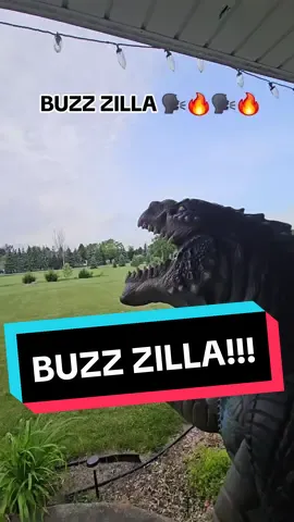 BUZZ ZILLA 🗣🔥🗣🔥 #brawlstar #godzilla #zilla1998 #buzzzilla #funny #meme #xybca #fypツ #puppet @Prime Lagann @Jumble! @Grimlock 🇵🇸 ✝️ @FumoFumo Real 🎀 🇵🇸 @ZeroFaiz 