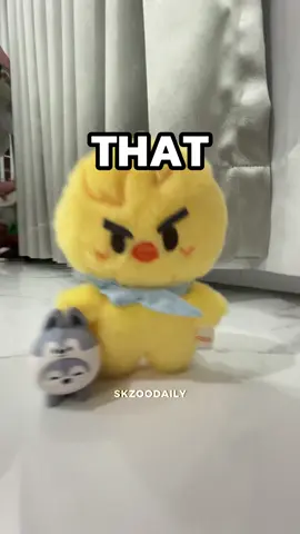YONGBOK BABY????? #skzoo #skzooplush #bbokari #leebit #puppym #felix #leeknow #seungmin #straykids 