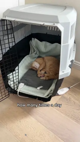 10, 25, 100?