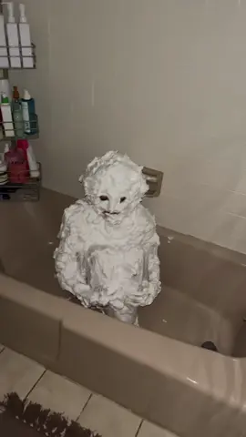 Wise words from bojack #bojackhorseman #cream #fypage #brocken 