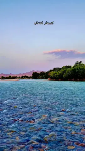 کندهاریانو ته ډالی مسافرو ته ارغنداب #viral #foryou #foryoupage #fyp #trending #video #kandahar #star #niamat_kandahari 