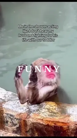 Same..?!😂😭🙈 #toddlermom #toddler #momhumor #momanddad #familyhumor #japanesemonkey #monkey