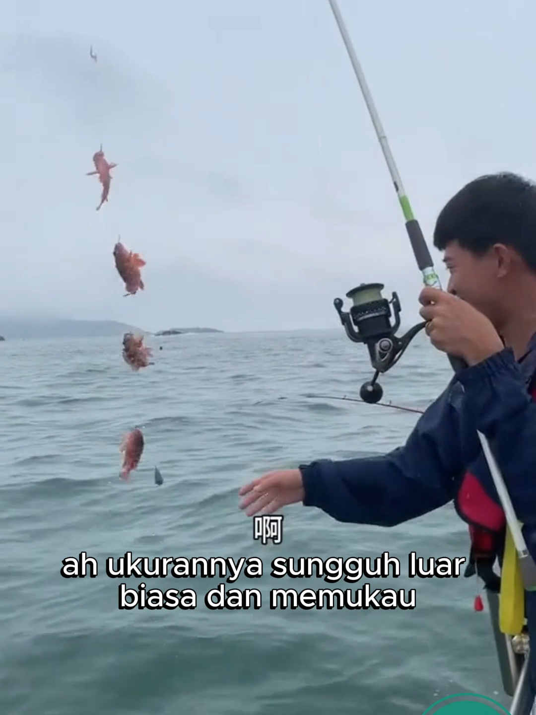 🎣 Serunya Memancing di Laut! 🌊 Ikuti keseruan kami memancing ikan besar di laut lepas! 🐟✨ Persiapan Alat Pancing 🎣 Momen Menegangkan Saat Ikan Tergigit Umpan 😱 Keindahan Laut Saat Matahari Terbit 🌅 Tag temanmu yang suka memancing dan follow untuk lebih banyak petualangan seru! 🚤🏝️ #MancingLaut #FishingAdventure #IkanBesar #FishingVibes #PetualanganMancing
