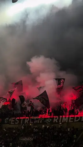 Curva Sud Milano #acmilan #banditicurvasud #rossoneri #milansalernitana #vivosoloperte #banditi