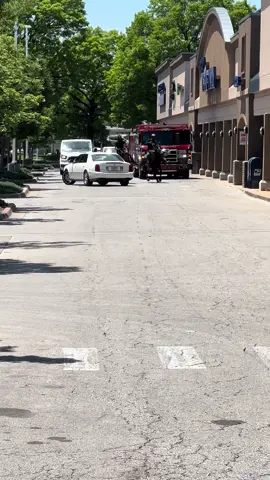 😂 Horse Race Caught in grocery Plaza…. And then… Boom #horse 