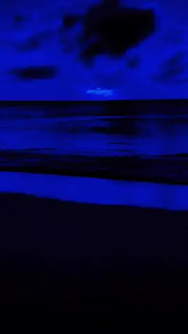 Una buena salsa siempre alegra tú día, que viva la salsa carajo. ⁠♡♬♪  #i❤️lasalsa_🎶  #mickeytraveras  #🎶❤️ ⁠♪♬  #salsaromantica😊💕 