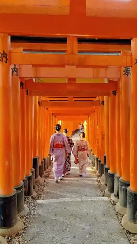 伏见稻荷大社#日本 #japan 