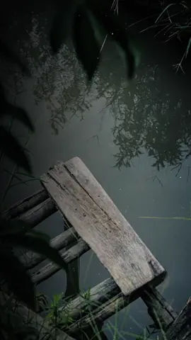 Đã không yêu thì thôi ta gặp nhau làm chi#caubaradio9x #lofi #camxuc #nhactinhsaulang #tamtrang #buồn #CapCut 