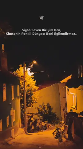 Kurşun Gibi Sözler Bırak🥀🍁❤️‍🩹 #CapCut #damarsözler #damarvideolar #guzelsozler #kesfet #whatsappstatus #sözlerköşkü #durumvideolari 
