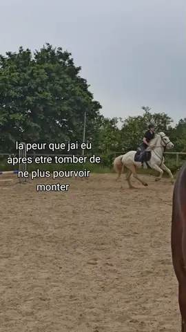 en gros après être tomber j'ai eu une grosse douleur dans la jambe qui est après rester que dans le genou je n'arrivais pas a marcher pour me relever on a du m'aider pour que je puisse aller m'assoire a l'intérieur on a dut me porter (merci a @Chloé et Jarita et a @sp.jump d'être rester et de m'avoir rassuré jusqu'à se que mes parents arrivent) et même avec des simple papouilles j'avais mal au toucher ,on a filer au urgence et au final j'ai une entorse et les douleurs que j'avais au toucher ce n'étais que le coup (j'ai quand même mal au toucher faut pas abuser mais pas autant) donc voilà pourquoi j'ai eu peur 