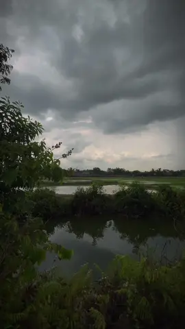 Bầu trời chiều nay suy quá anh em… #xuhuongtiktok #chill #tamtrang #triểnmưa #fyp 