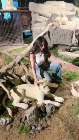 🤍
