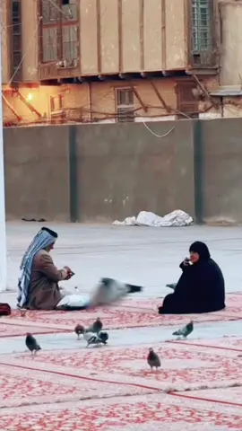 #فاهم #الجميلي #حبيبي نيتي اكضي وياك عمري#متابعه_ولايك_واكسبلور_احبكم#هاشتاق #روائع_الفن_العراقي🇮🇶🇮🇶♥️♥️#العراق #تصميم_فيديوهات🎶🎤🎬#ترند_تيك_توك #الشعب_الصيني_ماله_حل😂😂#الفن #بغداد #بصره_بغداد_ميسان_ذي_قار#اكسبلور#explore#روائع_الكلمات 