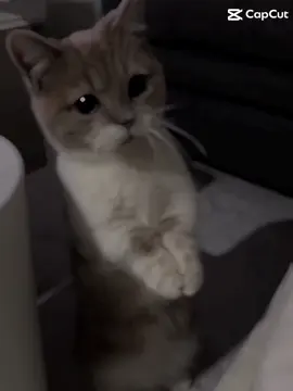 Không bít mik có lũi j mà phải xl ta #xuhuongtiktok @ngọc Tâm🍓🍓 