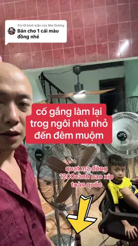 Trả lời @Mai Dương  giờ cố gắng làm lại #kiếmtiền trang trải nợ lần để khôi phục lại xưởng sản xuất, xin cảm ơn mọi người đã quan tâm sẻ chia và ủng hộ những chiếc #quạtmạđồng #quạtđiềuhoà #quạtcôngnghiệp ạ  