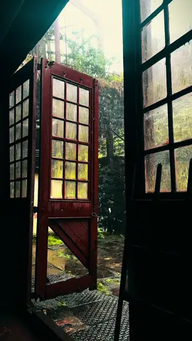 Paranapiacaba, quantas histórias, vidas, sorrisos e tristezas. Uma chuva fina e a neblina com todo seu glamour trás a nós um emaranhado de sentimento. O choro da despedida ou da chegada, o embarque do trem que leva o sonho é o mesmo trem que trás a esperança. #paranapiacaba #paranapiacabasp #sp #frio #chuva #neblina #climaeuropeu #movie #iphone15pro #vlogger 