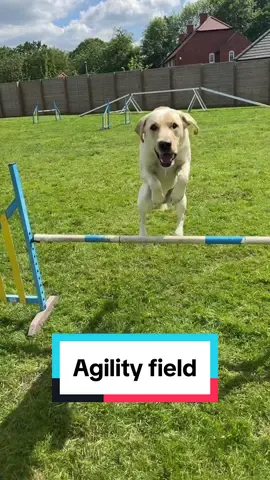 He’s always so happy just to be included 🥲