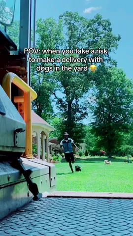 #lol #amazon #amazondeliverydriver #amazondeliveryguy #takearisk #dogs #justjokes #comedy #fyp #viral #trending 