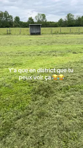 C’est incroyable #fyp #football #viral #district 