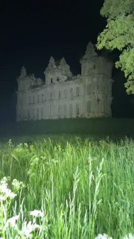 resting peacefully in the field 