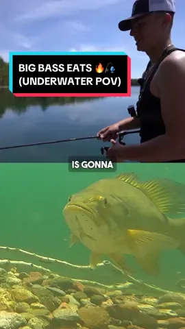 Lil’ underwater POV of this Smallie slurping up my Boosa Ned 🔥🎣 #fishing #fishingdaily #fisherman #fishinglife #viral #trending #fishtok #fishingrods #largemouth #smallmouthbass #bigfish #underwater #pov 