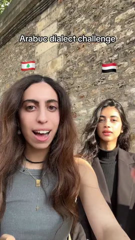 arab dialects pt3🇾🇪🇱🇧🫶🏻 #fyp #lebanon #arab #yemen 