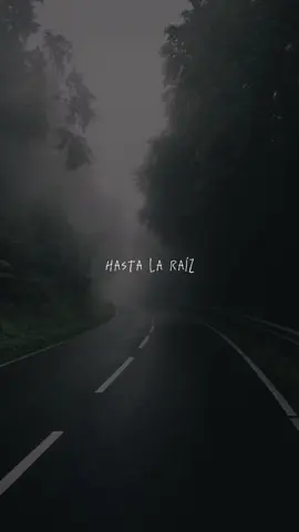 Hasta la raíz 🥀 #natalialafourcade #hastalaraiz #song #musica #music #sweetmelody #fypviralシ #fypシ゚viral #Viral #fypシ #fyp @Natalia Lafourcade 