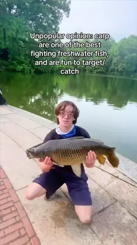 What are your thoughts on carp? Comment below! #thefishermeng #fishing #fishingedits #fishingtiktok #fishingedit #bigfish #bigfishenergy #carp #carpfishing #carpfishinglife 