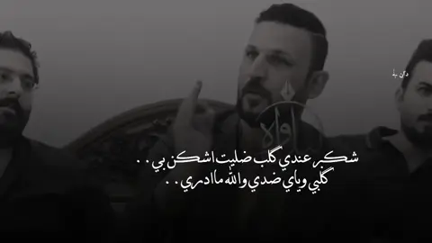 ضَميَِري انهَ ذهَب.بسَ ربعَيِ.موَ صياَِغ.. َ َ َ َ . َ #ډاٴڼ  #حسنين_العتابي  #سمير_صبيح  #شعراء_وذواقين_الشعر_الشعبي  #شعروقصايد  #شعر_شعبي_عراقي  #شعراء_الجنوب 