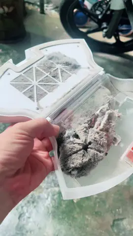 Robot hút bụi lau nhà hiệu quả mà giá lại rẻ #tuanphukien #robothutbuilaunha #vacuume5 