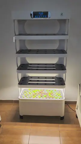 Te enseño en 5 pasos a como limpiar la Torre Hidropónica EcoHydro PRO🌱💧👨🏻‍🌾 #huertourbano #huerto #huerta #huertas #agricultura #hidroponico #hidroponia #hidroponic #agua #sustentable #huertoencasa #huertovertical