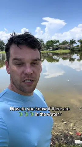 Gators in the water stay safe #safetyfirst #florida #educational #psa 