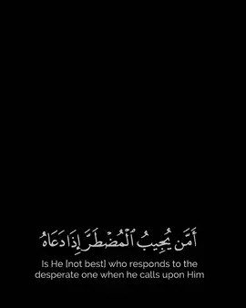 #أءله_مع_الله 🚶🖤#القرأن_الكريم_راحة_نفسية 🫀😴#محمد_عباده🤍 #أعادة_نشر🔃 