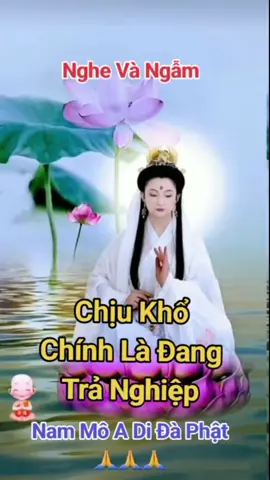 Chịu khổ chính là đang trả nghiệp #niemphatmoingay2024 #samhoimoingay2024 #loiphatday2024 #thantamanlac2024 #vongtay12congiap2024 @Thân tâm an lạc @Thân tâm an lạc @Thân tâm an lạc 