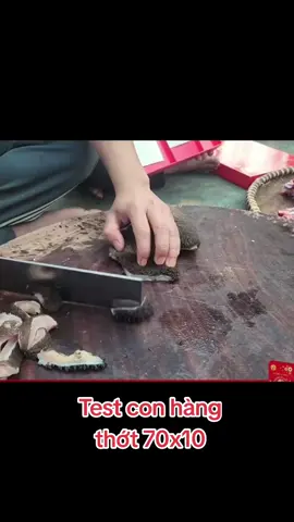 Thớt này ra tiền nha anh em 😂 70x10 - sự lựa chọn tuyệt vời cho anh em đam mê bộ môn  d.a.o 🔪 thớt 🍻🍻 👍 #thotnghienhoanglinh #thotgo #thotnghientaybac #quanglinhvlog 