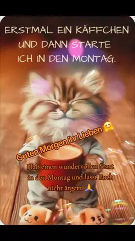 Guten Morgen ihr Lieben 🤗 #gutenmorgen #montag #morgen #wochenende #vorbei #arbeit #ruft #gutelaune #🤗 #🙏 #aufgehts #tt #fy #fyp #fypage 