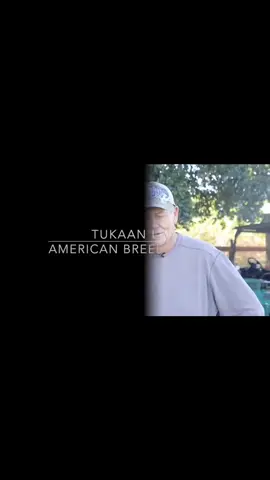 Green Jean/ Larry Romero Legacy.#greenjeanlegacy #greenjeanroosters #gamefowl #visiting 