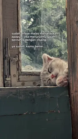 #katakata #katakatastory #katakatamutiara #katakatamotivasi #qoutesstorywa #katakatabijak #fypシ゚viral #viraltiktok #pageforyou 