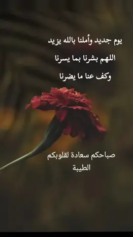 #اكسبلورexplor #اكسبلورexplor #اكسبلورexplore❥🕊 #صباح الخير#🌸🌸🌸 