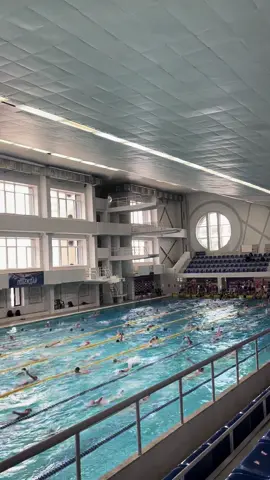разминка на соревнованиях ☠️ #swim #swimming #competition 