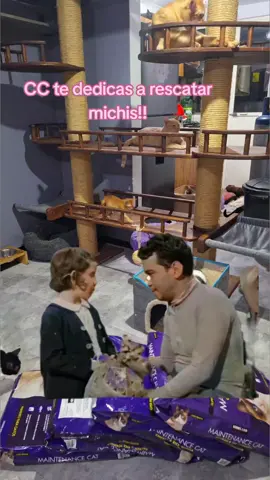 #CapCut  asi la vida de las rescatistas #gatos #gatostiktok 