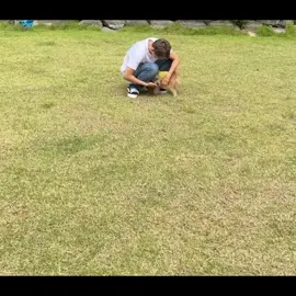 호시랑 라떼 너무 귀여워 #호시 #hoshi #kwonsoonyoung #seventeen #seventeen세븐틴 #trending #xuhuong #fyp 