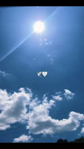 #yoteextrañare#miangeldelcielo🕊️#🕊️#astaelcielo#dios#😭 