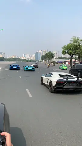 Dàn bò khủng dạo phố cùng những chiếc siêu xe náo loạn đường phố Thủ đô #ngaoxe #lamborghini #mclaren #carsoftiktok #carspotting #carslover #xyzbca #fypシ゚viral #supercar 
