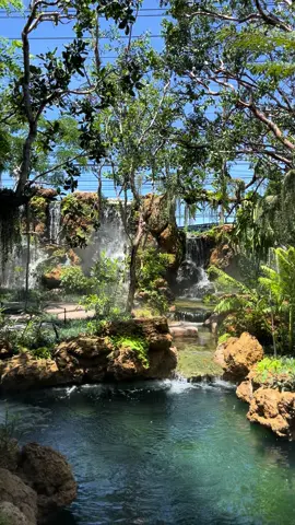 เทสน้ำตก บ่อปลา เต็มระบบจ้า สวน90%🩷🥰🌱  #เทรนด์วันนี้ #บ้านเเละสวน #Ayothaya_landscape #จัดสวนบ้าน #garden #tropical #จัดสวน 