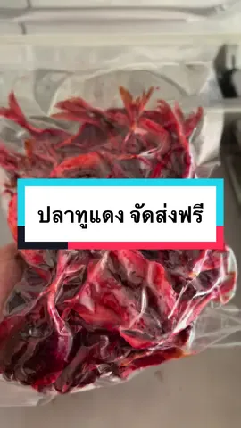 #ของกิน #ของอร่อย #อาหารแห้งสตูล #อาหาร #ปลา #ทะเลใต้ #กับข้าว #อาหารทะเล #ปลาแดงหวาน 